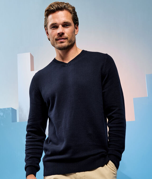 Men's cotton blend v-neck sweater