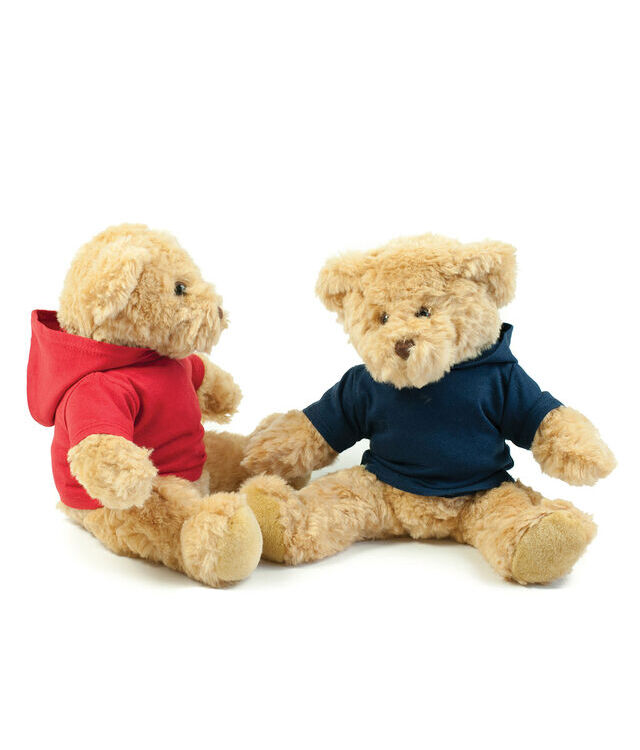 Teddy hoodie